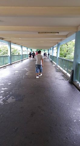 圖片來源:Connie Fung/上水人大聯盟