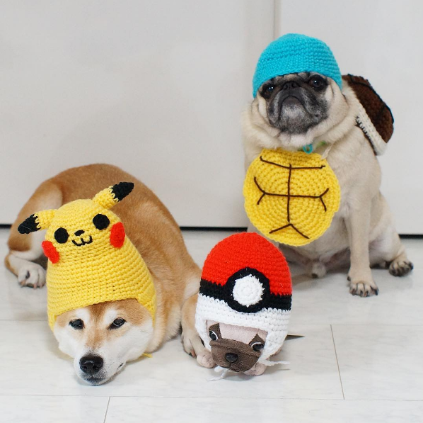 圖片來源：tora_pom_happylife／instagram