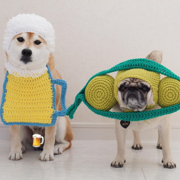 圖片來源：tora_pom_happylife／instagram