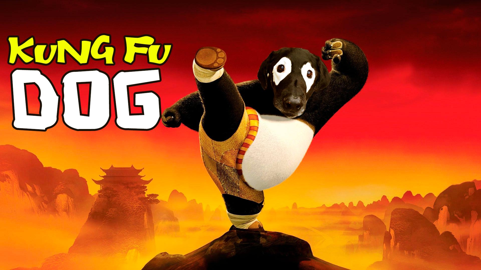 圖片來源： reddit