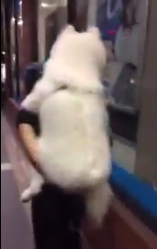 圖片來源： JURAnoACCOUNT／twitter