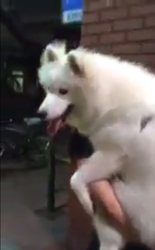 圖片來源： JURAnoACCOUNT／twitter