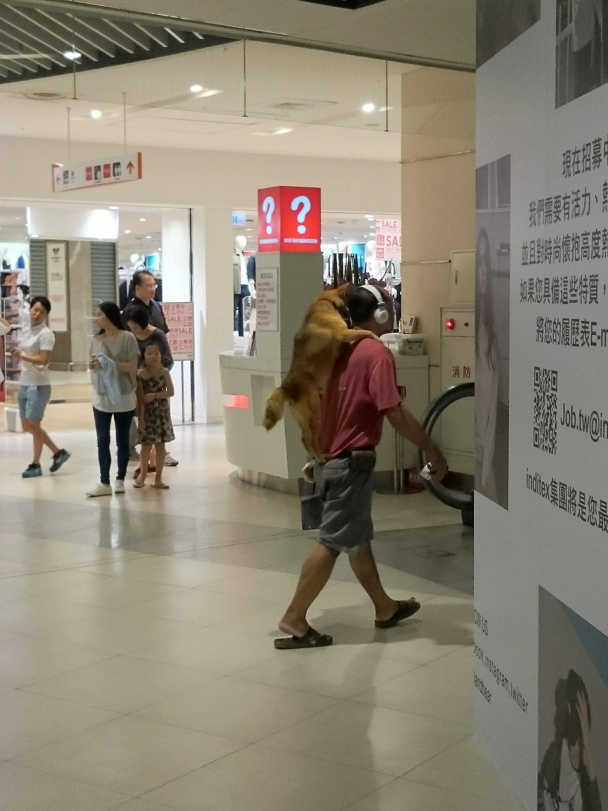 圖片來源：仲夏／PTT