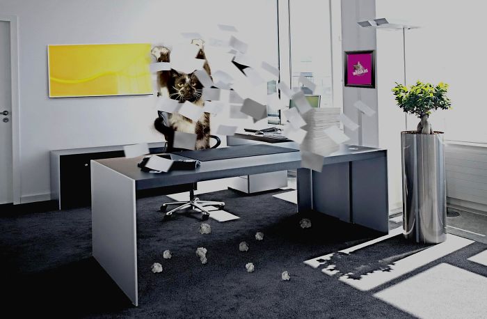 圖片來源：bored panda