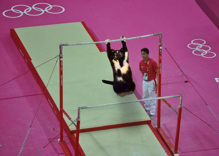 圖片來源：bored panda