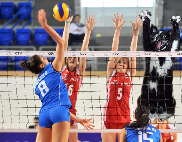 圖片來源：bored panda