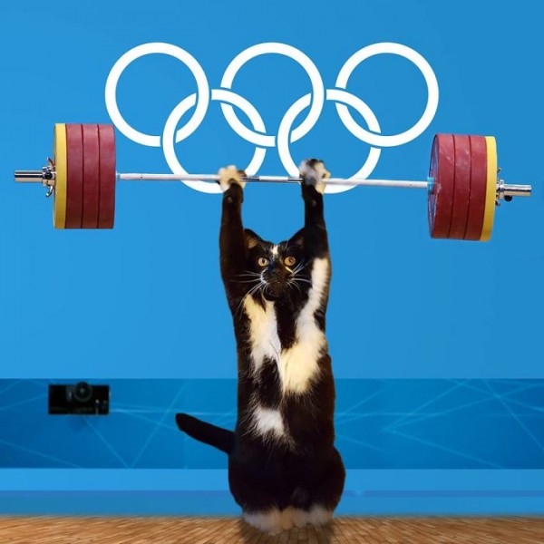 圖片來源：bored panda