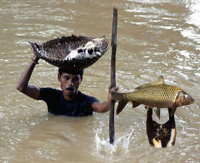 圖片來源：bored panda