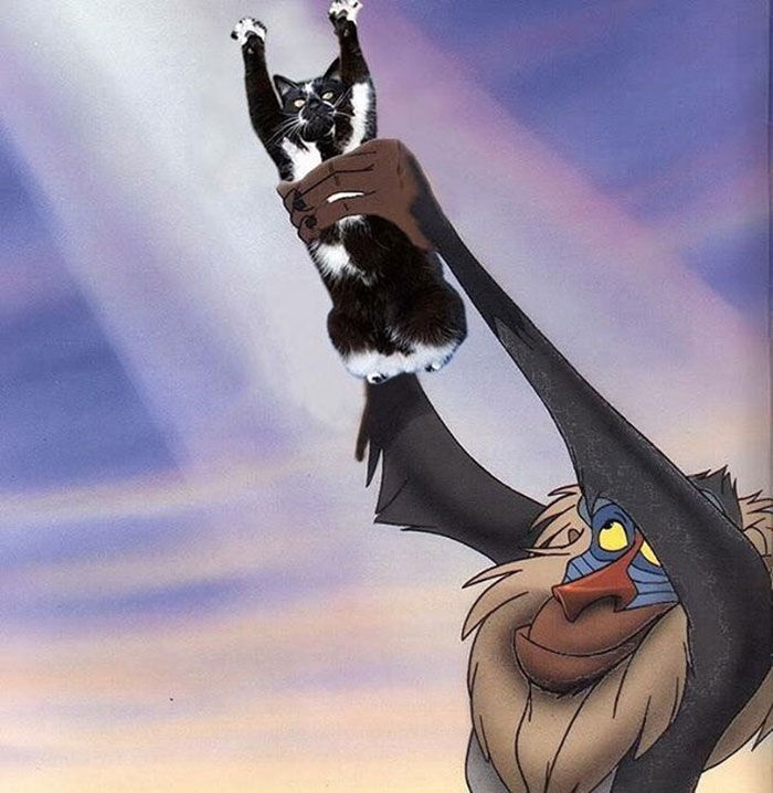 圖片來源：bored panda