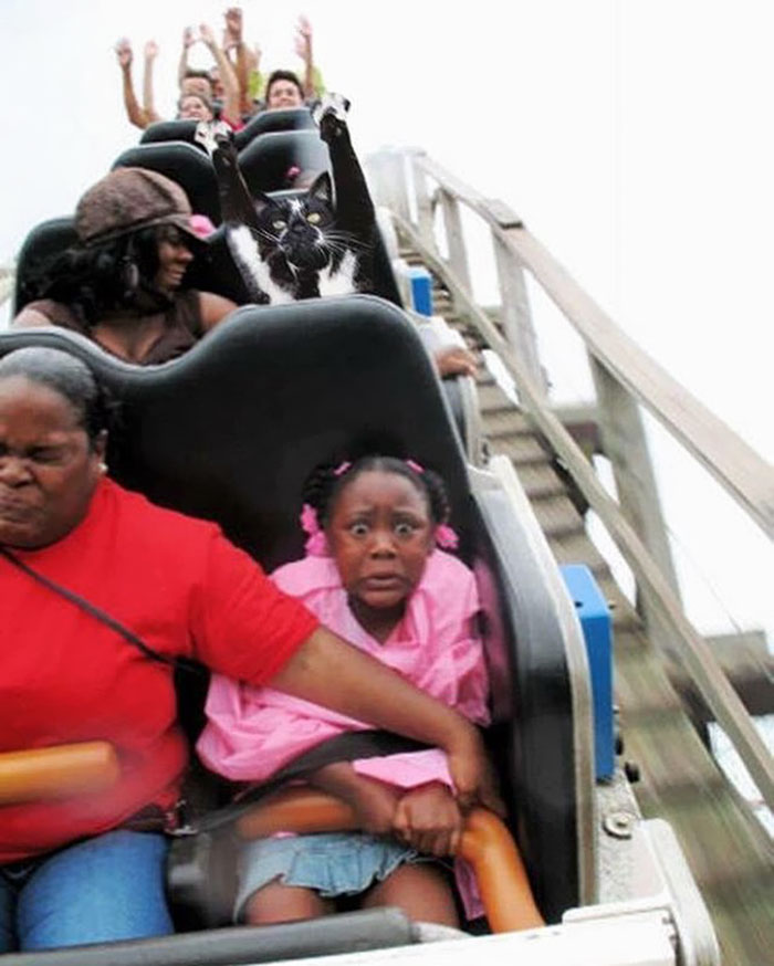 圖片來源：bored panda