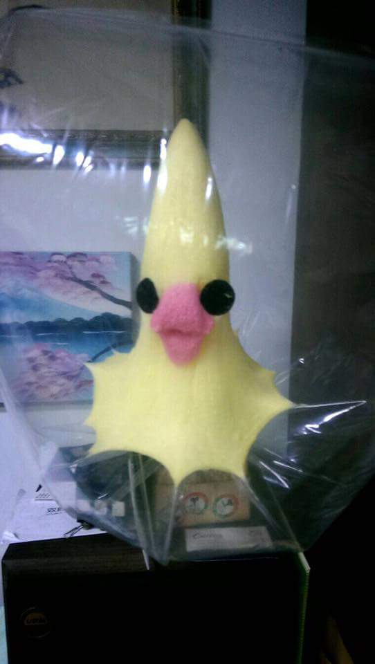 圖片來源： Trista Chiang