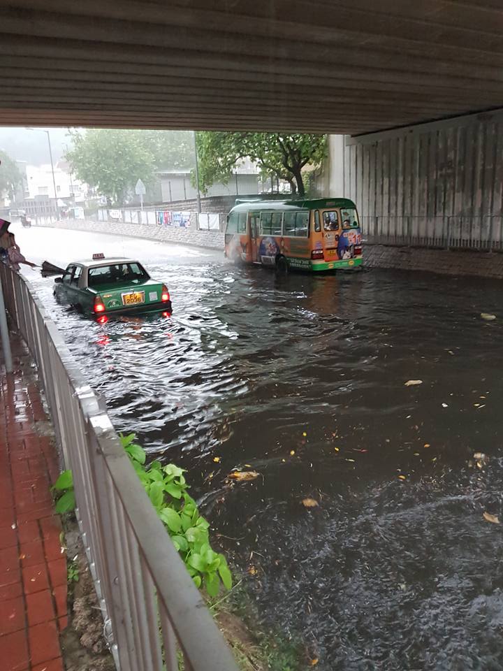 圖片來源：Henry Lee／Tai Po大埔