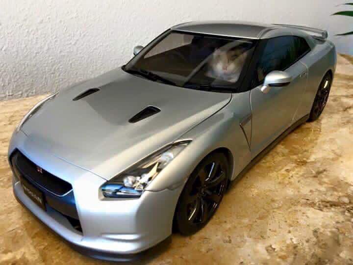 圖片來源:coolcars_kirei/twitter