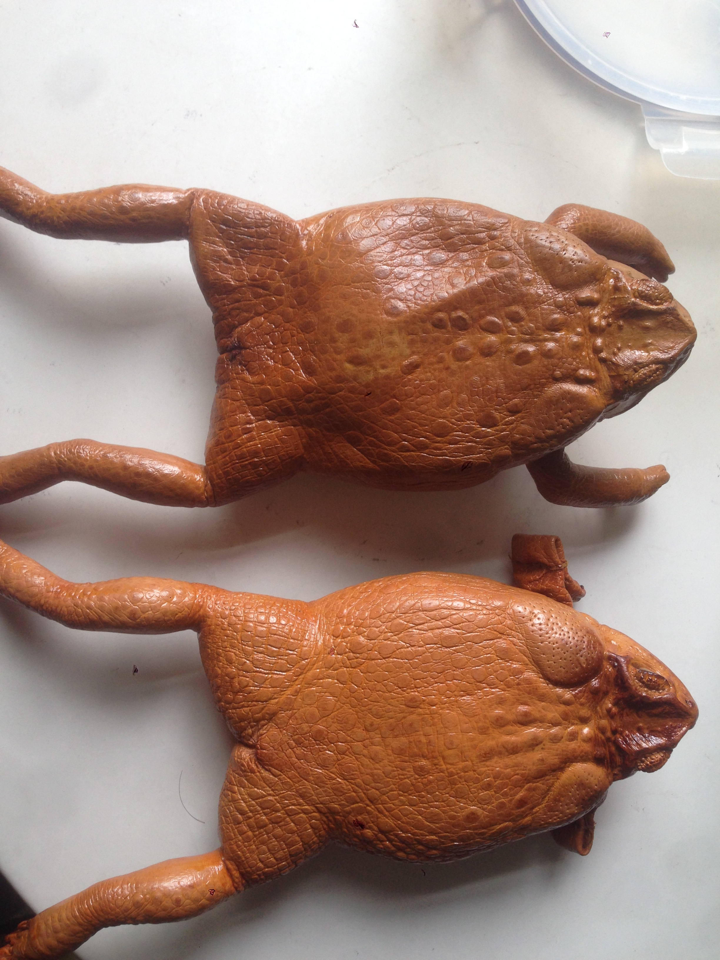 圖片來源：淘寶