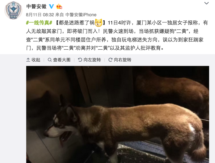 圖片來源:中警安徽/微博