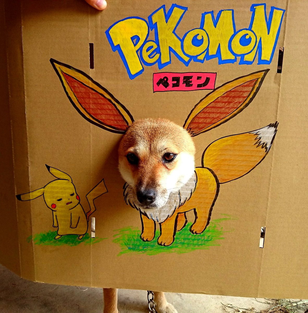 圖片來源：takase_farm／twitter