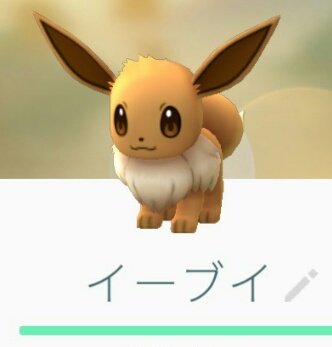 圖片來源：takase_farm／twitter