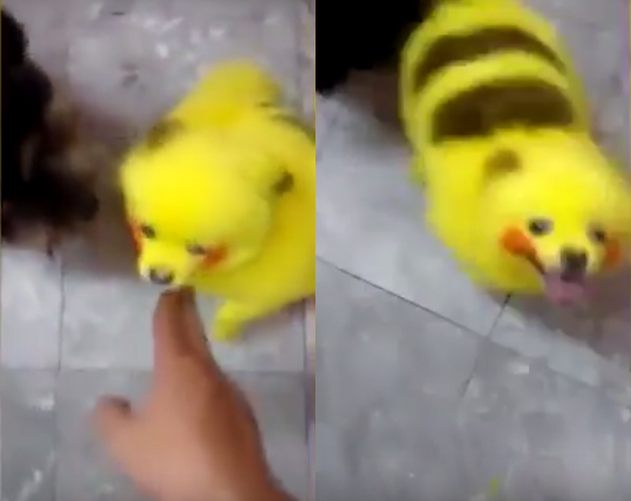 ​圖片來源：dailymail