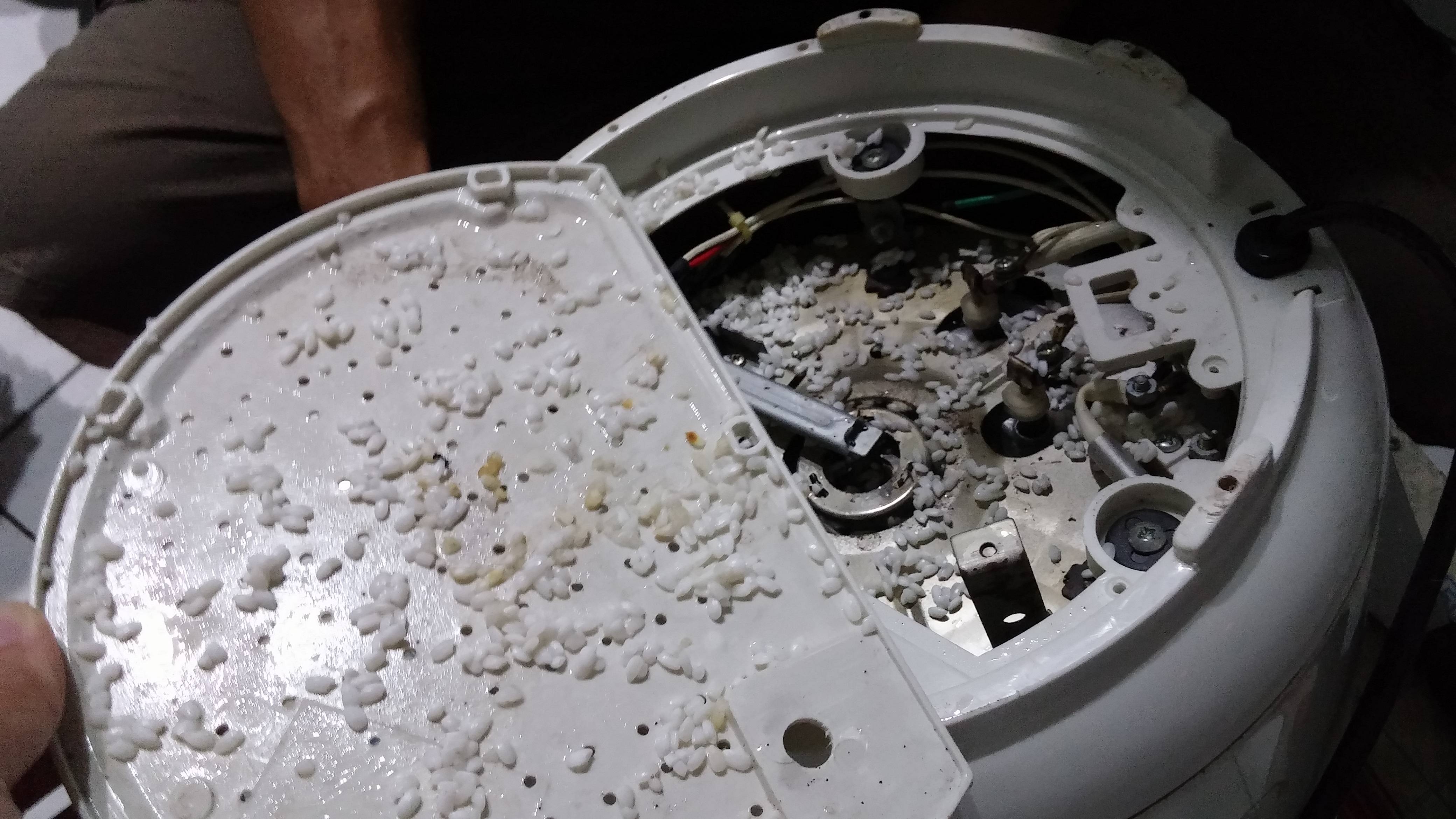 圖片來源：ling751am／PTT