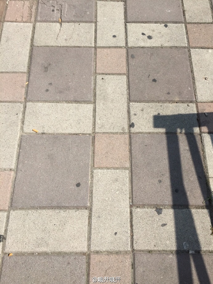 圖片來源：哦開哦開／微博