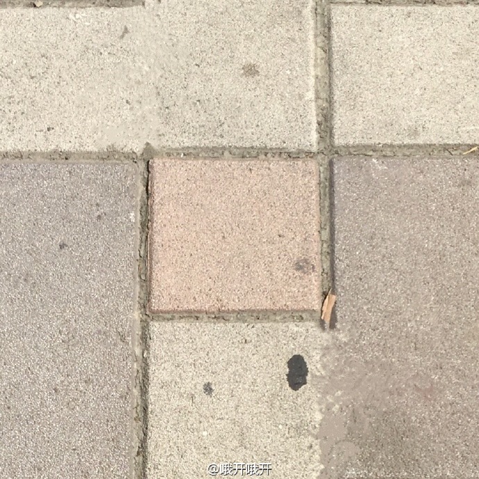 圖片來源：哦開哦開／微博