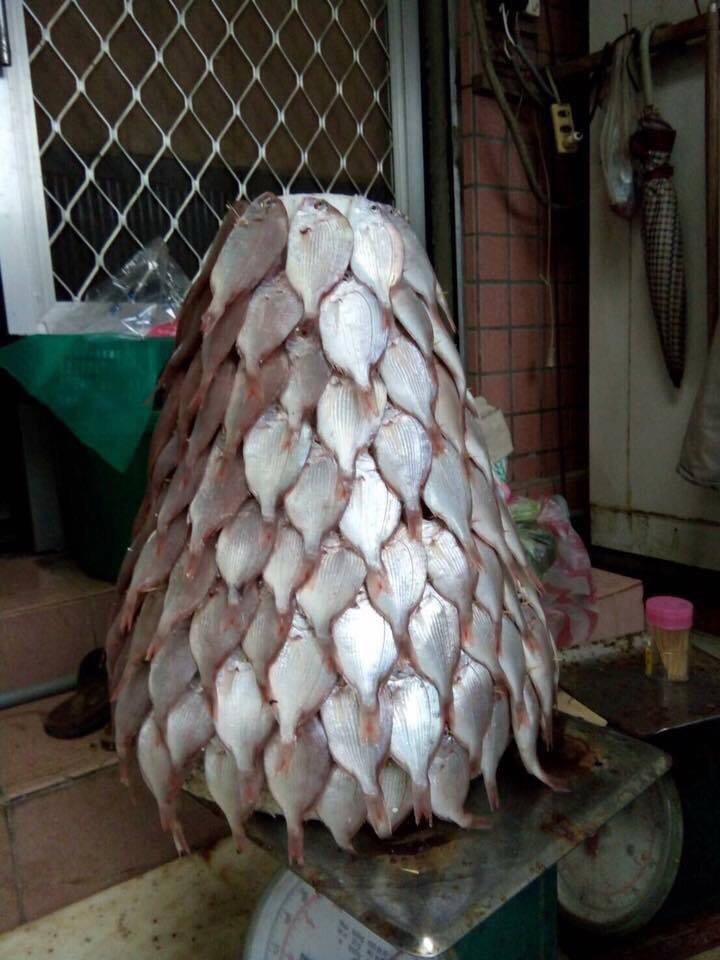 圖片來源:蘇俊豪/爆廢公社