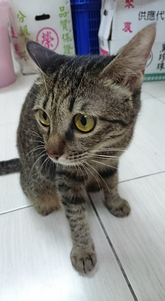 圖片來源：王寶明