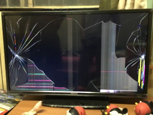 圖片來源：王寶明