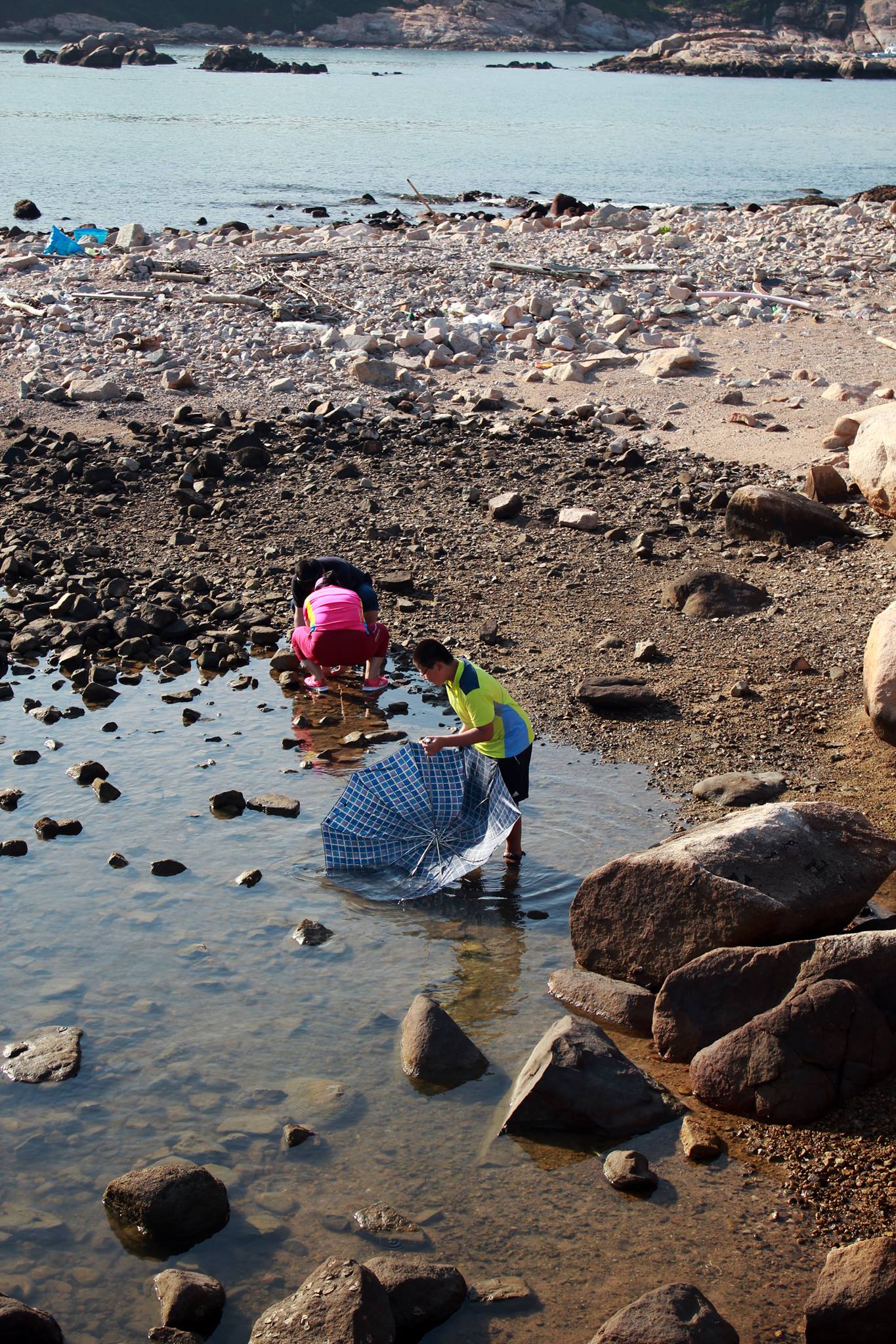 讀者來圖：Dennis Ma