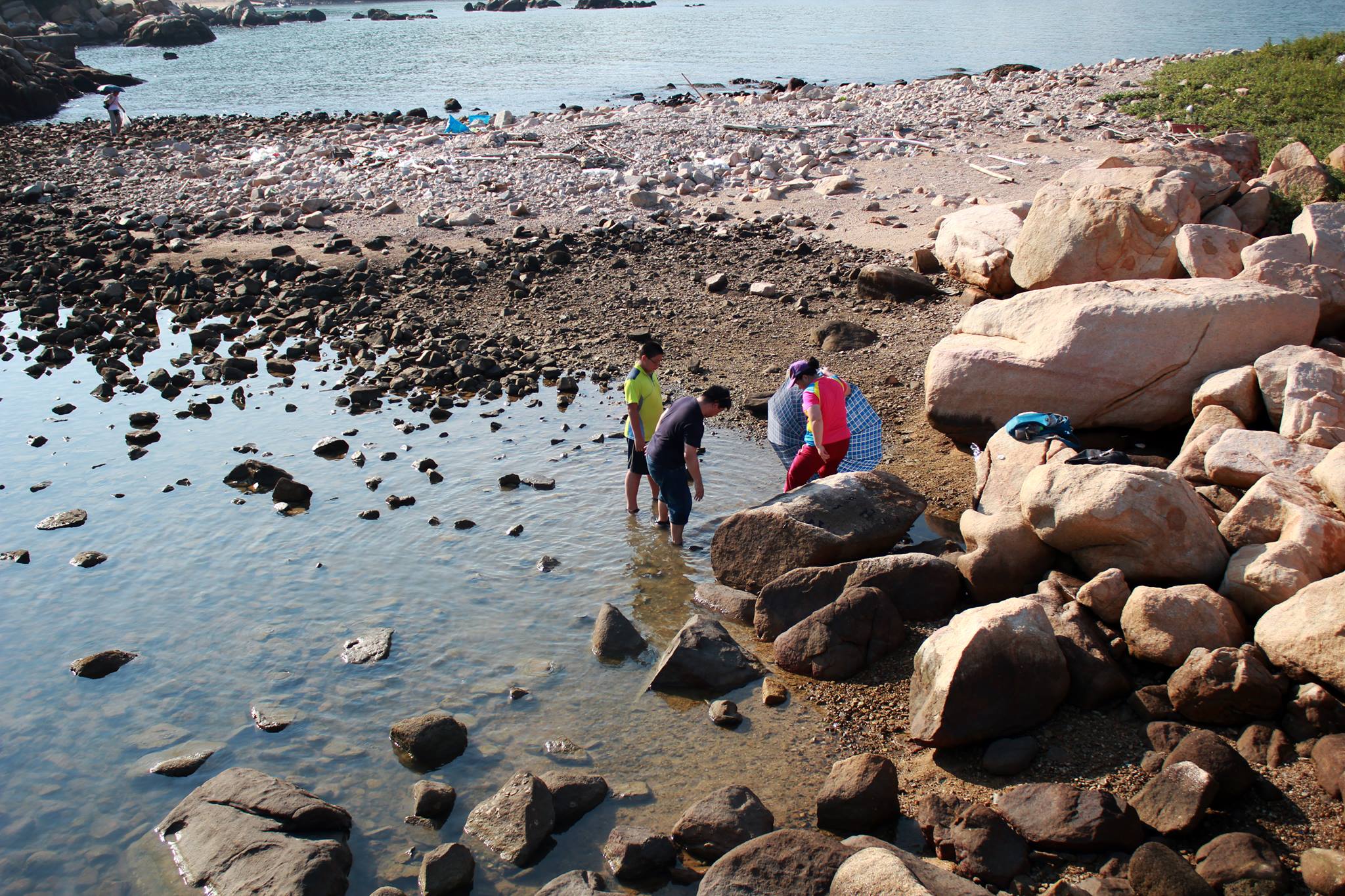 讀者來圖：Dennis Ma