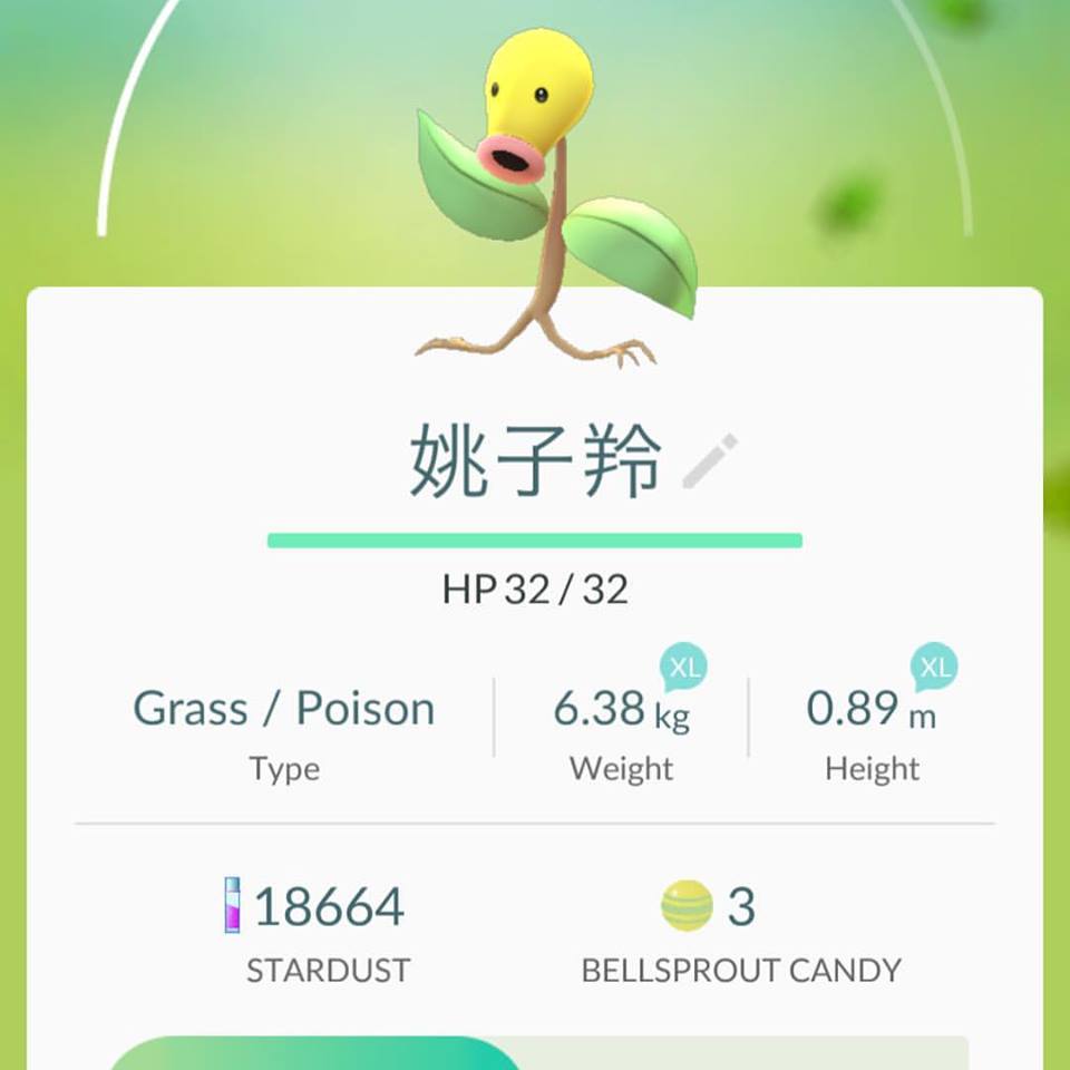 圖片來源：感謝Johnee Lau同意轉載