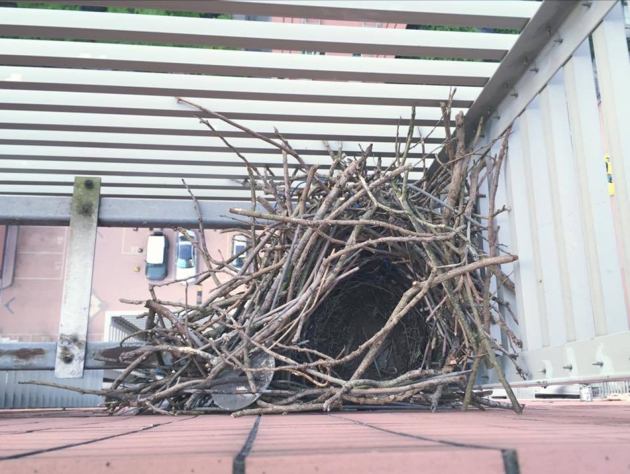 圖片來源：藍奕邦