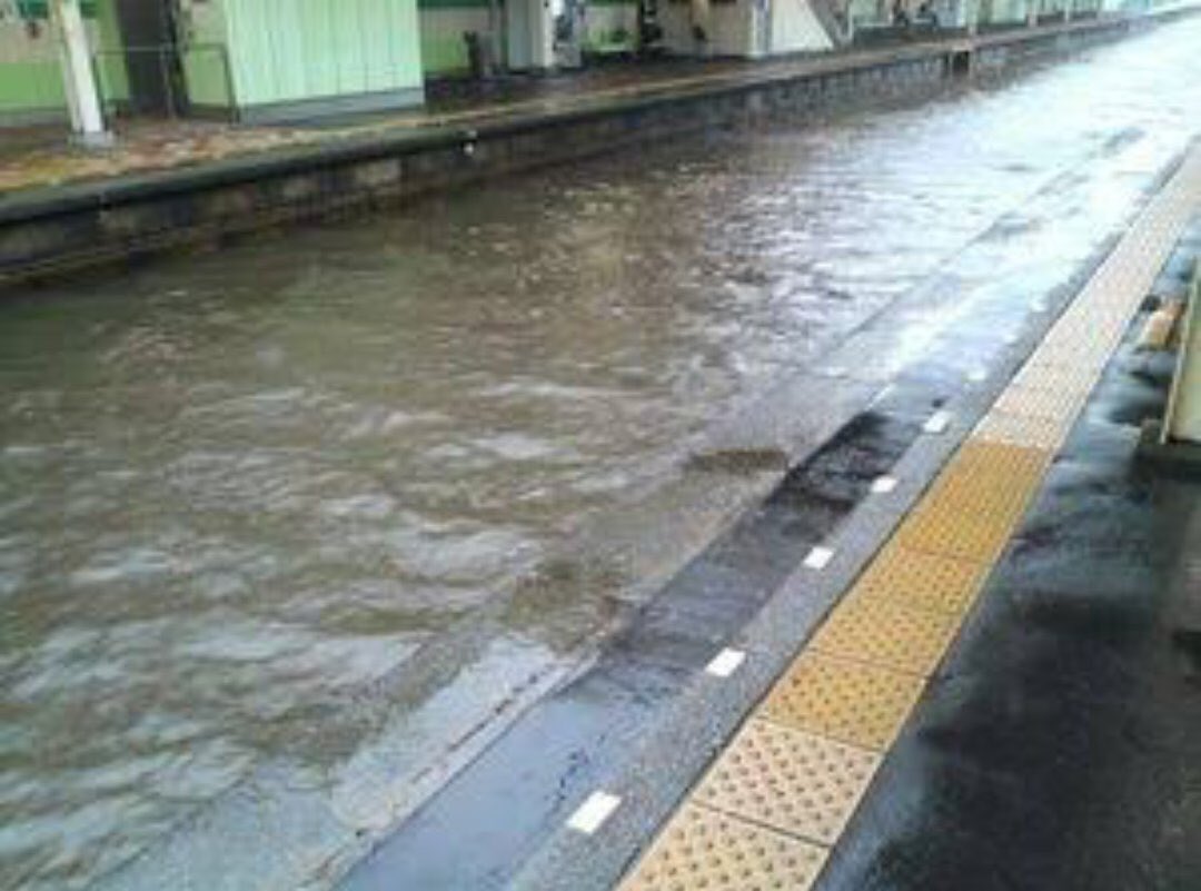 圖片來源:nishitama2014/twitter