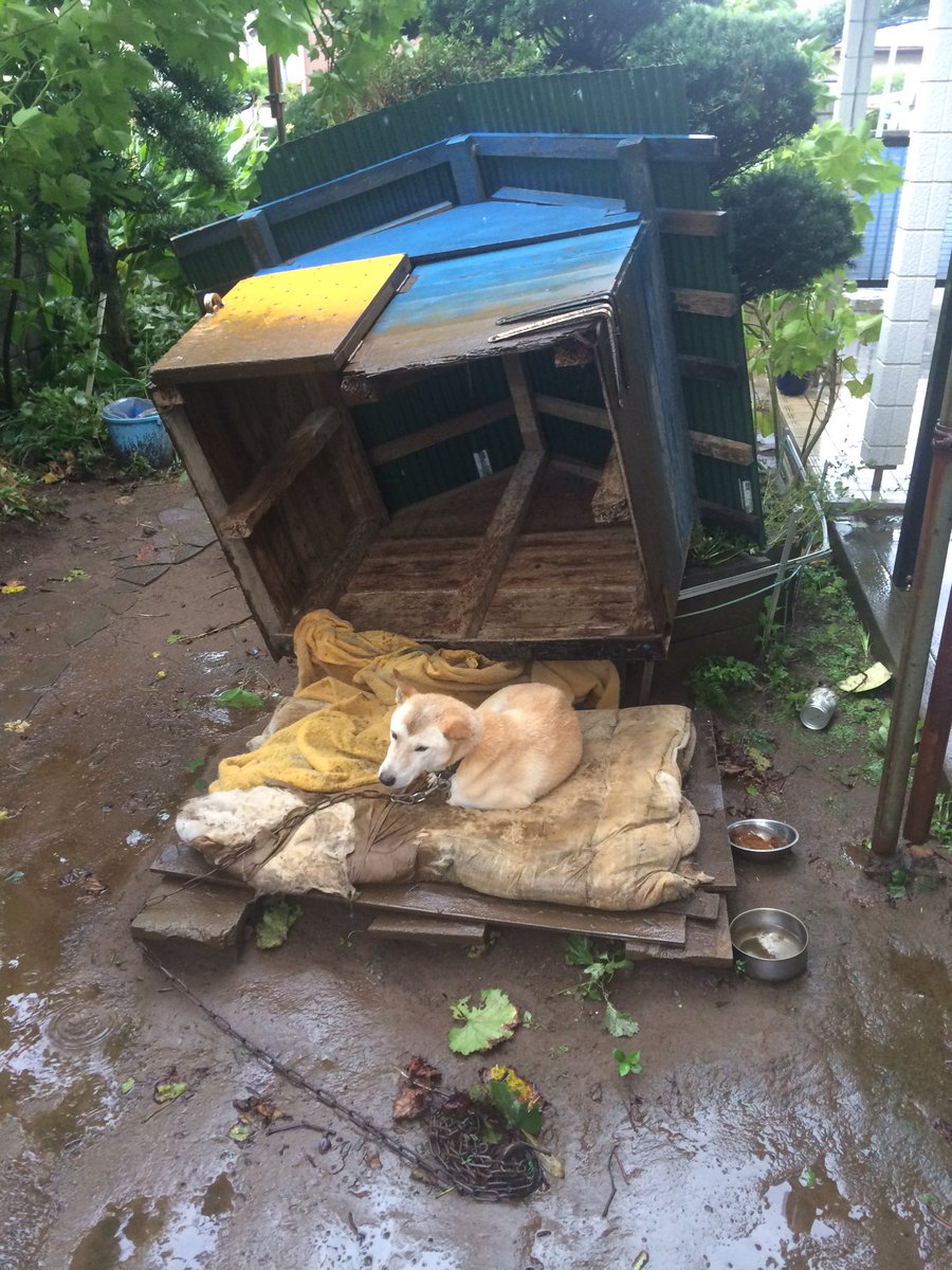 圖片來源:FLovebaseball/twitter