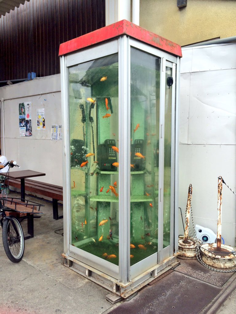 圖片來源:muchiaco/twitter