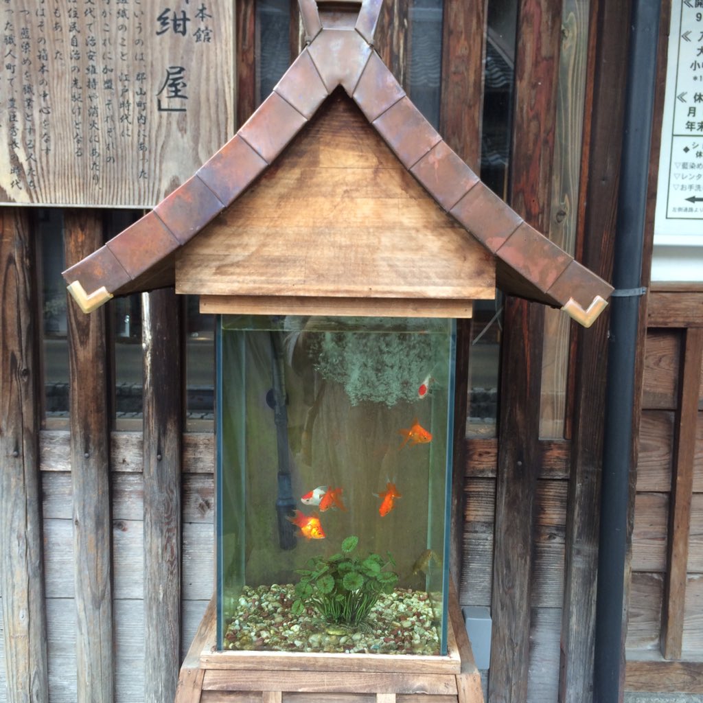 圖片來源:muchiaco/twitter