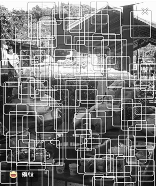 圖片來源: 林伊辰