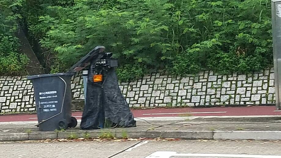 圖片來源：Ken Chan／Tai Po 大埔