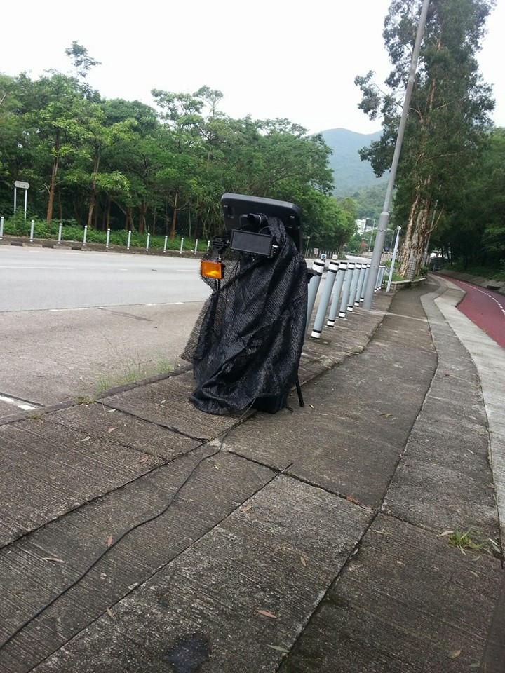 圖片來源：Ken Chan／Tai Po 大埔