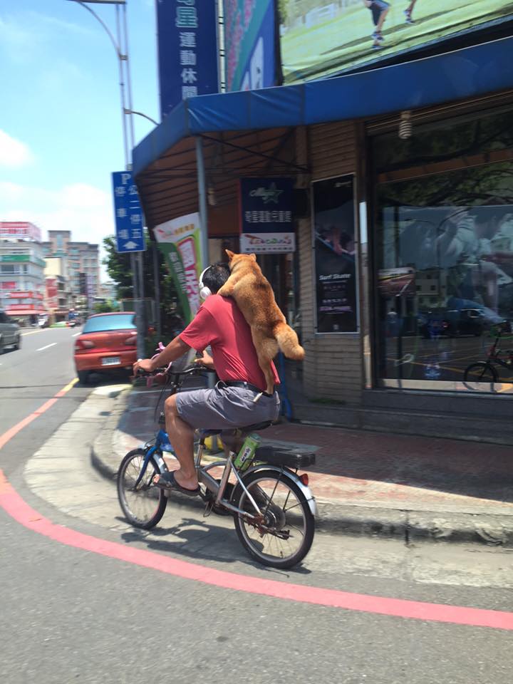 圖片來源:洪文彬