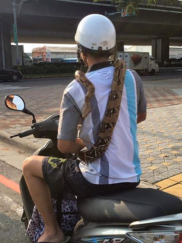 圖片來源：Chinlin Tsai／爆料公社