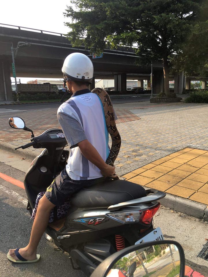 圖片來源：Chinlin Tsai／爆料公社