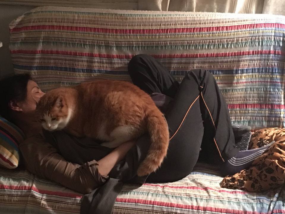 圖片來源：陳志忠／貓咪也瘋狂俱樂部 CrazyCat club