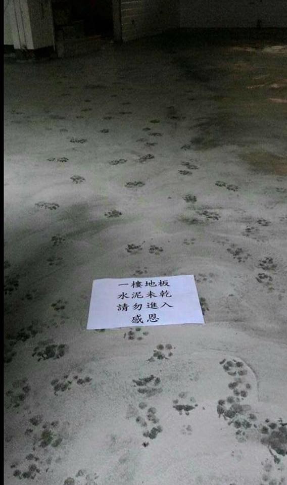 圖片來源： 自由時報電子報