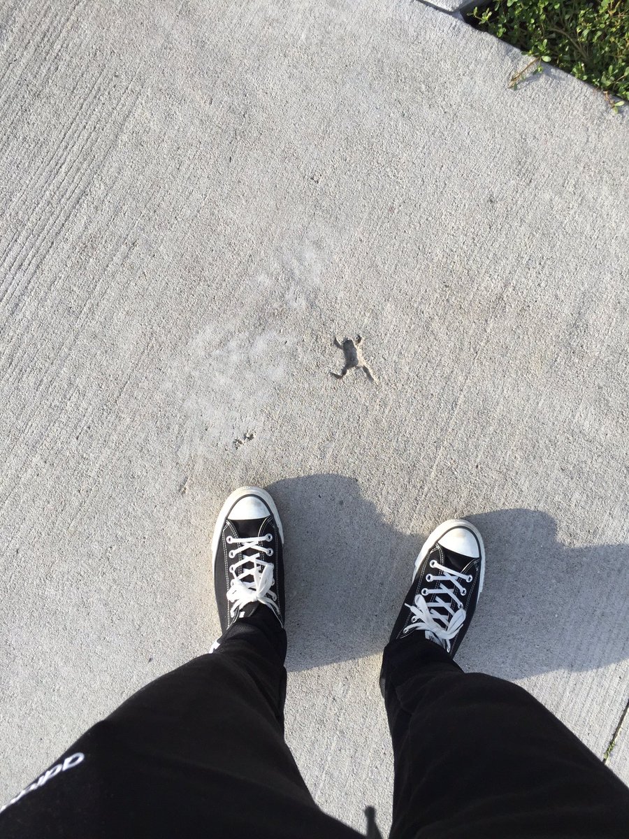 圖片來源： masssssann／twitter