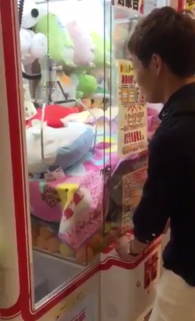 圖片來源：akapemaru／twitter