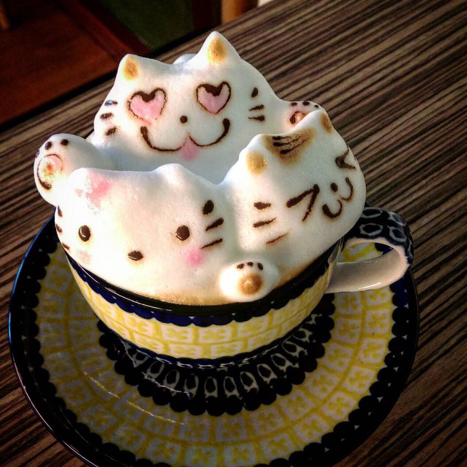 圖片來源：My cofi