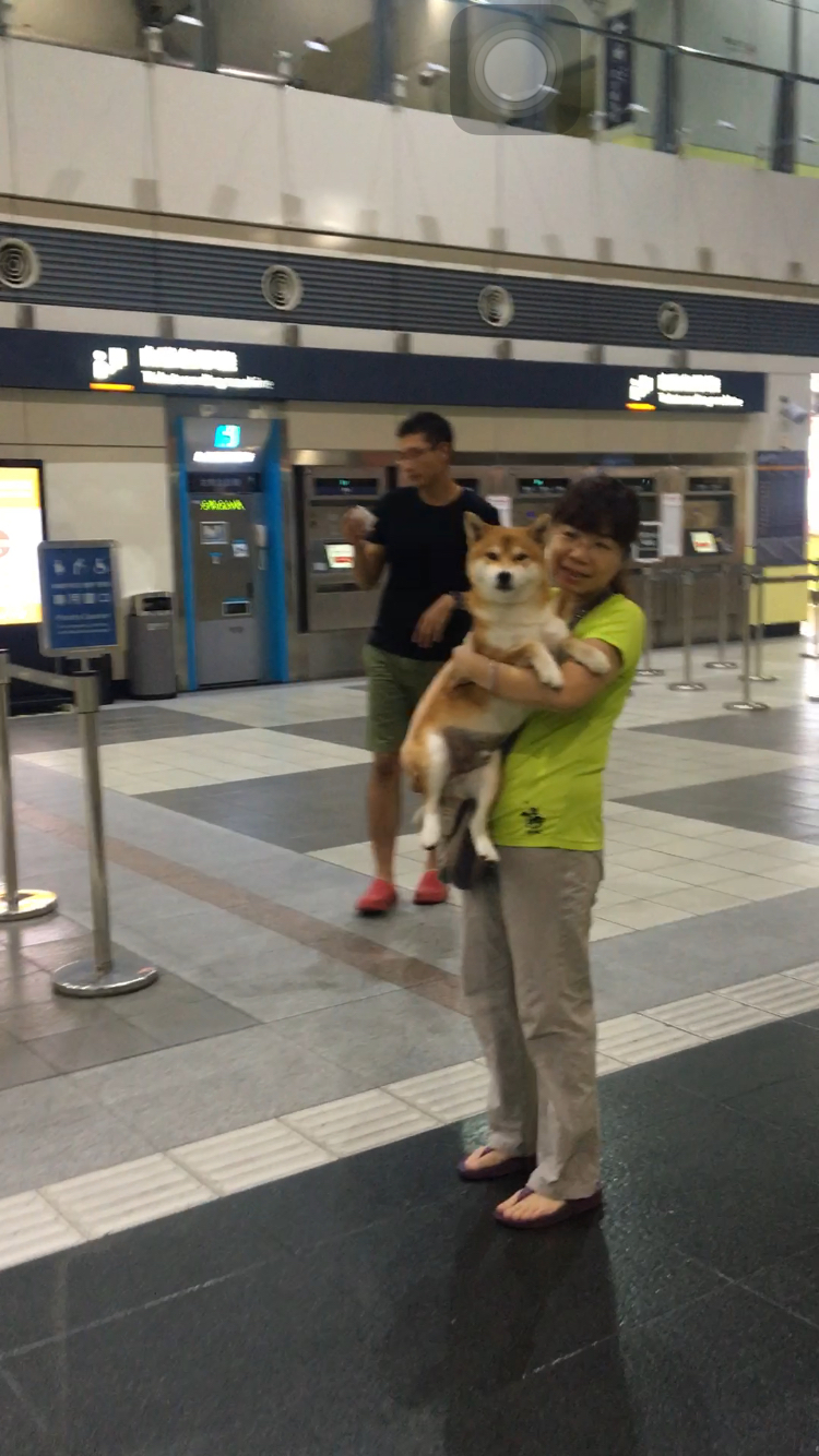 圖片來源：dcard