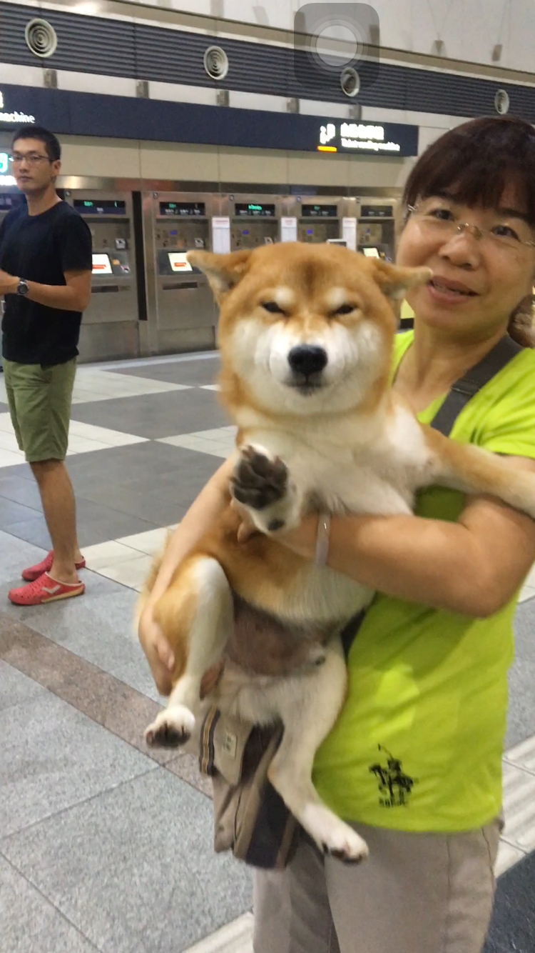 圖片來源：dcard