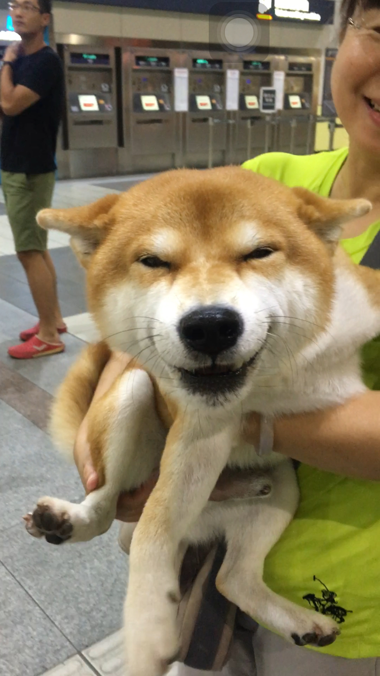 圖片來源：dcard